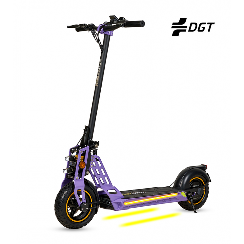 Ecoxtrem Bison GT Single Motor